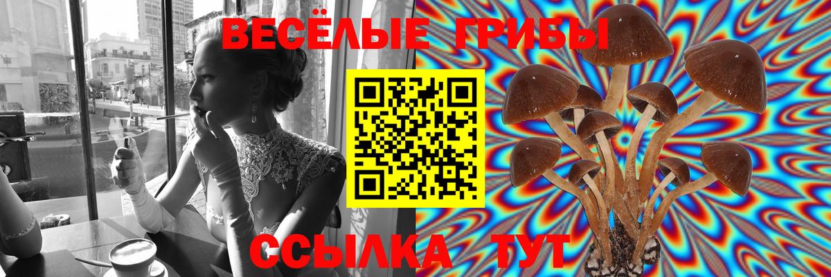 Псилоцибиновые грибы Cubensis Белебей